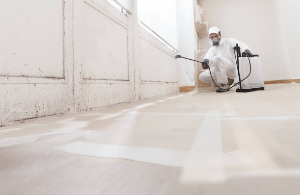 24/7 Emergency Mold Cleanup experts in Belleville, NJ